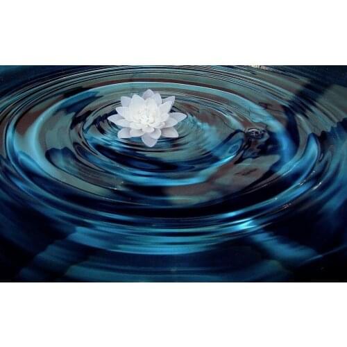 Flower in the Water Art Film Print Silk Poster Home Wall Decor 24x36inch