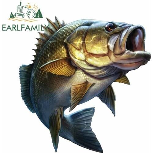 EARLFAMILY 13cm x 13cm Fishing Cartoon Car Sticker Large Mouth Bass Fish Stickers Boat Kayak Decals Car Truck Window Car Styling