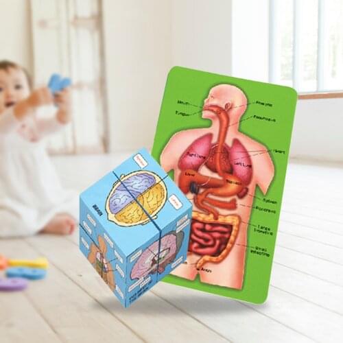 Human Anatomy Cube Book Human Body Kids Science Educational Toys Puzzle Card