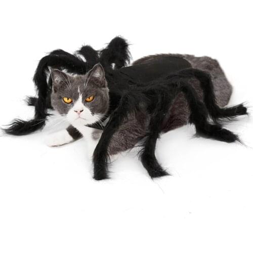 Hot Halloween Pet Costume Spider Decoration Accessories Dog Cat Dress Up Modeling Spider Clothes