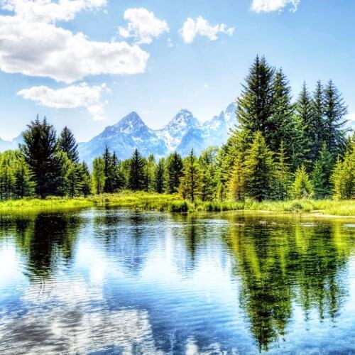 A1666 11CT/14CT/18CT/25CT/28CT Oil tea patterns Counted Cross Stitch DIY Cross Stitch Kits Embroidery Needlework Sets