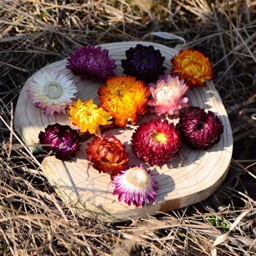 3-5cm/50pcs,Natural Dried chrysanthemum flower head,Handpicked Eternell daisy for Wedding home Decoration,DIY arrange flower