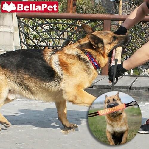 Training Dog Toy for Large Dogs Toys Dog Bite Training Set Whip Protection Biting Sleeve Educational Toy for Dog Accessories