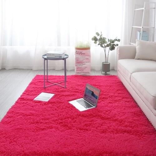 Nordic ins living room carpet bedroom tatami rug plush thick carpet balcony bay window decoration floor mat summer new carpet