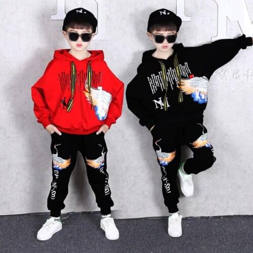 Children Clothing Kids Hoodies 2pcs Sets Girls Tops Cotton Clothes Boys Sweatshirts Girl Clothes Boy Clothing Hoodies Suits