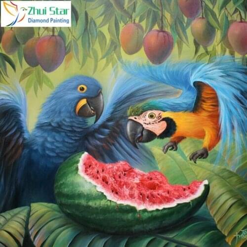 Zhuistar 5d Diy Diamond Painting Cross Stitch Parrots eat watermelon Diamond Mosaic Full diamond embroidery rhinestones Set gift