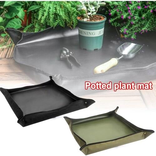 Семена DOORSACCERY China At AliExpress