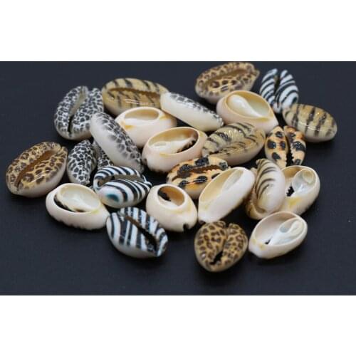10pcs/lot Colorful Painted Leopard Natural Shell Loose Spacer Beads for DIY Bracelet Necklace Bohemian Jewelry Accessories