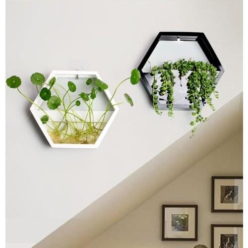 Brief Handmade Acrylic Chlorophytum Flower Pot Hanging Wall Scindapsus Hydroponics Plant Vase Home Living Room Modern Decoration