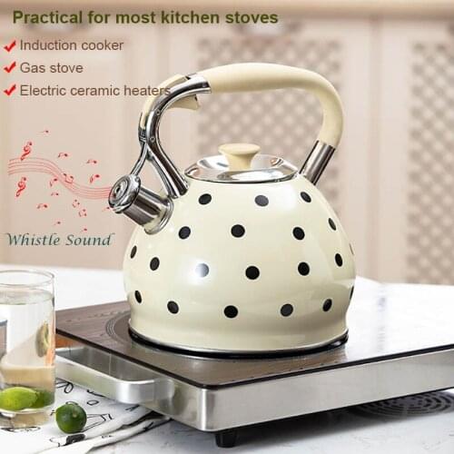 3.5L Kettle Teapot Stainless Steel Whistle Kettle Gas Stove Cooker Metal Whistling Kettle Pot Bouilloire Induction Cooker Jugs