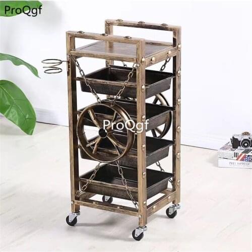 Prodgf 1Pcs A Set Fashion Removable Hair Salon Trolley