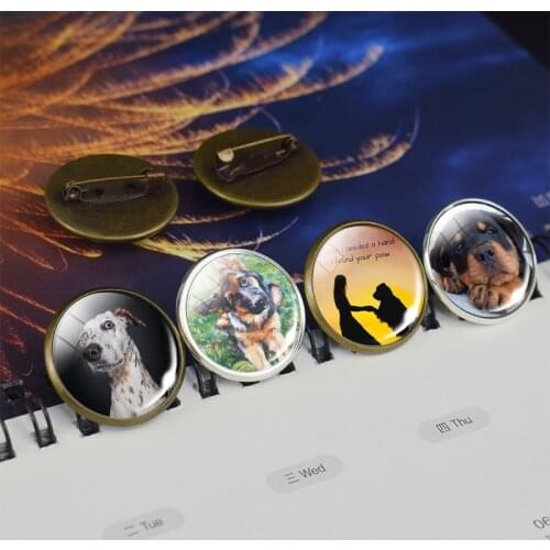 Nightstars Brooches With Animals For Clothes
