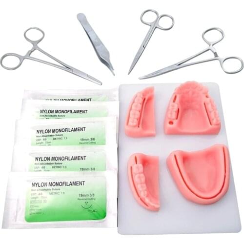 Oral Dental Suture Training Silicone Module Gum Periodontal Pad Model