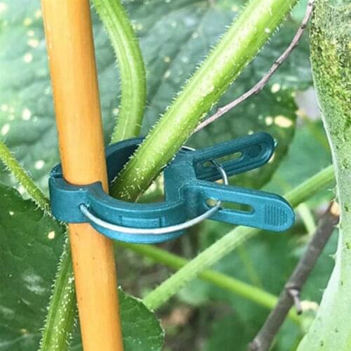 60PCS Plant Support Clip Creative Plastic Garden Support Clip Garden Vine Clip Plant Grafting Stakes Connector Clip