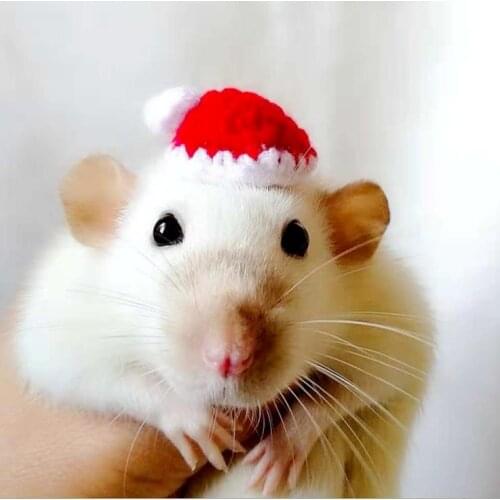 Hamster clothes Mini winter clothes small pet hamster clothes hedgehog golden silk bear coat Cape hamster skirt