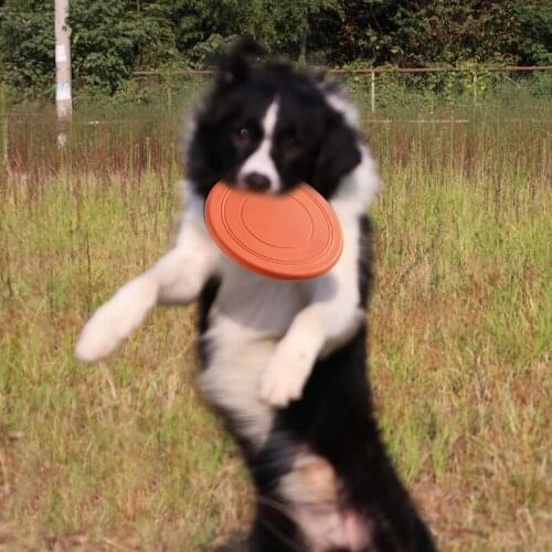 Colorful Interactive Dog Chew Toys Resistance Bite Soft Rubber Puppy Pet Toy for Dogs Pet Training Products Dog Flying Discs