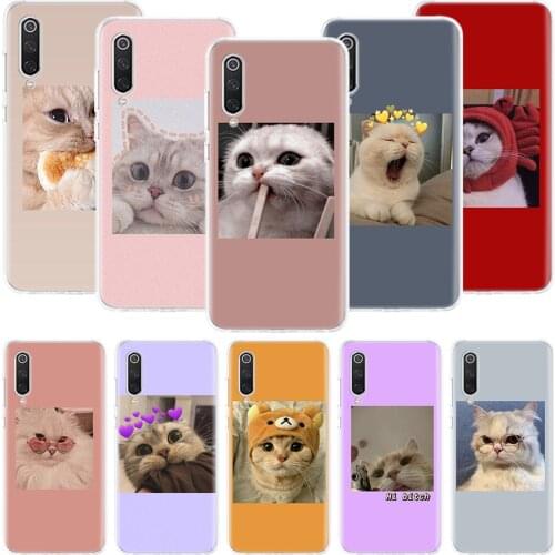 Super Lovely Cat Kitten Cute Funny Phone Case For Xiaomi Mi Note 10 11 9 8 10T 9T CC9 A1 A2 A3 5X 6X Pocophone F1 X3 F2 Pro Lite
