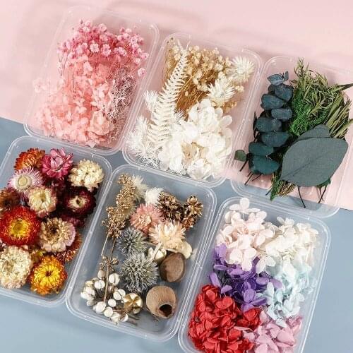 1 Box Real Colorful Dried Flower Plant For Aromatherapy Candle Epoxy Resin Pendant Necklace Jewelry Making Craft DIY Accessories
