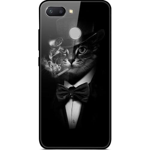 Case For Xiaomi Redmi 6 Tempered Glass Case Phone Case Back Phone Cover Series 3