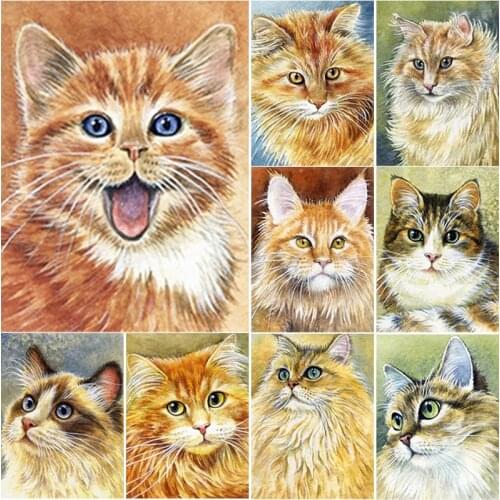 New 5D DIY Diamond Painting Full Square Round Drill Cute Cat Diamond Embroidery Animals Cross Stitch Home Decor Manual Art Gift