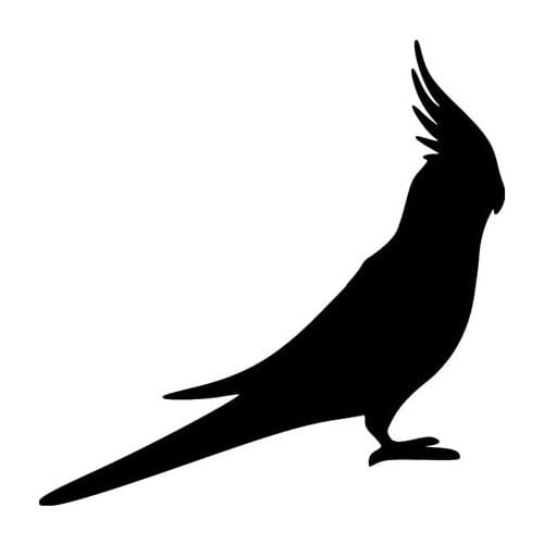 Cartoon Cockatoo Parrot Bird COCKATIEL Vinyl Car Sticker Decoration Decal Black Silver Automobile Accessories,17cm*17cm