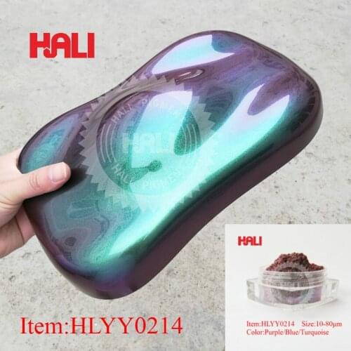 Nail Art Glitters Kit Manicure Tips Decoration Automotive Crafts 10g Chameleon pigment Nail Glitter Pearl Powder Set