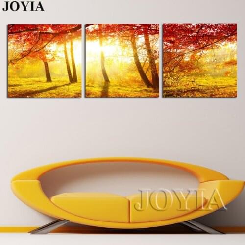 Forest Morning Sunshine Wall Art Canvas 3 Pieces Golden Birch Trees Painting Pictures Fine PRINTS Home Room Decor No Frames