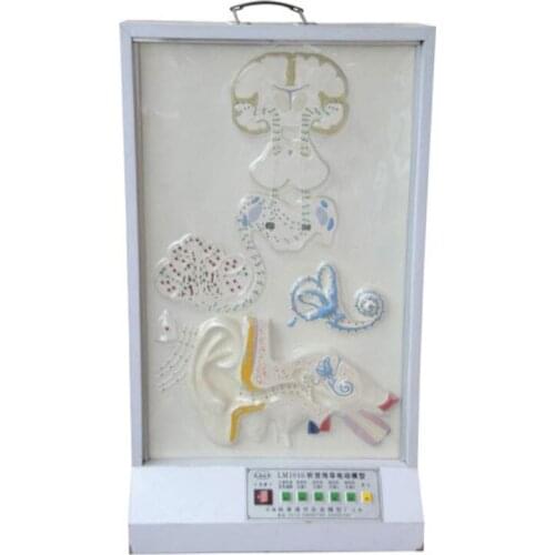 Auditory Conduction Electric Model BIX-A1075 WBW200