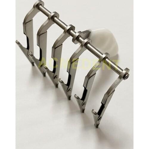 Dental Lad Denture Holder Brush Enamel Clip 6Pcs-Clamp Tooth Soft Head NoHarm to Porcelain Crown Veneer Brushes