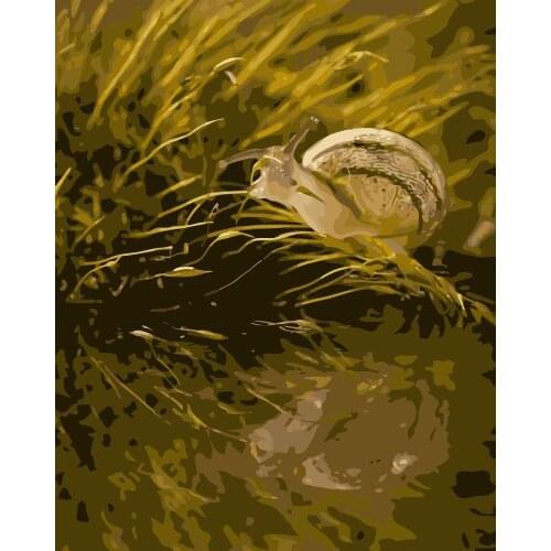 MaHuaf-j491 snail animal painting Coloring by Numbers DIY Hot Selling Craft Gift cuadros decoracion
