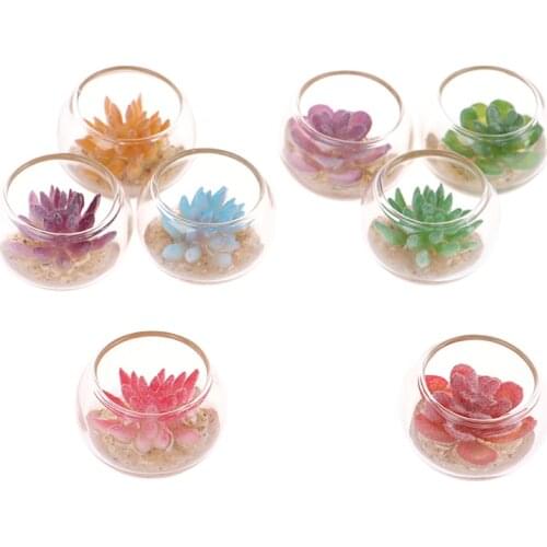 1:12 Dollhouse Miniature Glass Jar Succulent Plants In Pot Furniture Toys Home Decor 26mm*18mm
