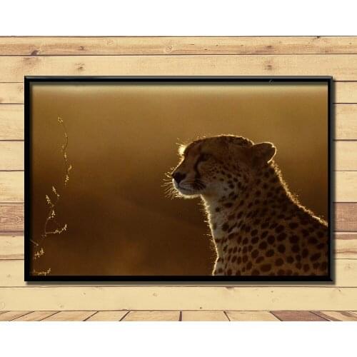 Cheetah Fierce Animal (20) Wall Posters Prints Silk Art Painting For Home Wall Bedroom Decor