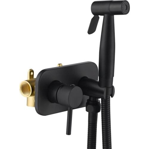 Concealed pressurized toilet spray gun set hot and cold bidet nozzle black toilet companion flushing small shower