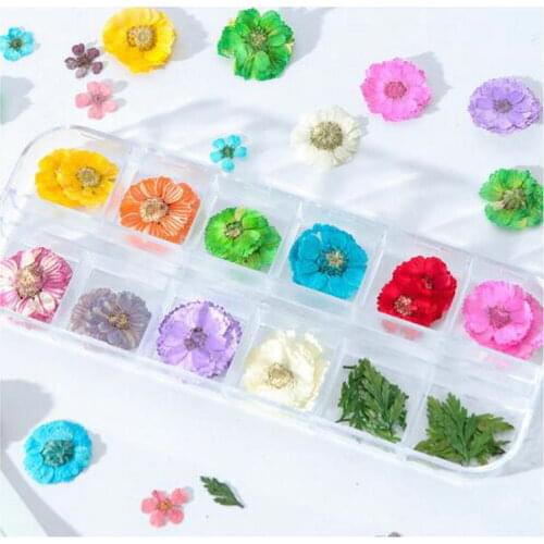 12colors Dried Flower Glitter Sequins Nail Art DIY Resin Jewelry Stuff Pendant Handmade Craft Cosmetic Decor Phone Case Decoden