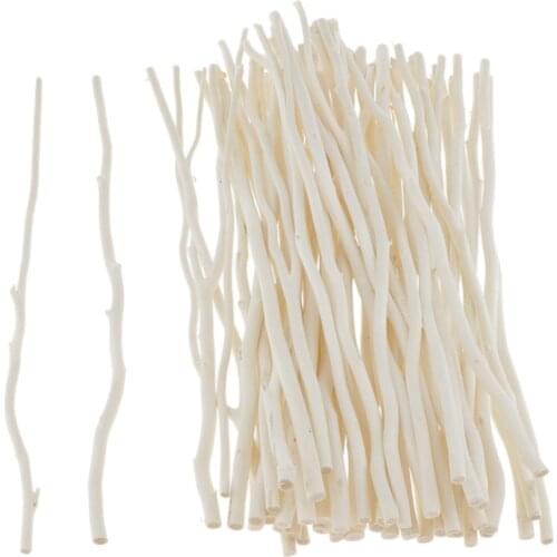 50x Natural Driftwood Pieces Vase Filler Decor Coastal Wall Art, DIY Crafts