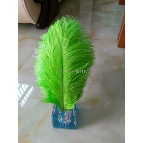 Hot! wholesale 100pcs Fruit Green ostrich feather wedding decoration DIY10-12inches / 25-30CM
