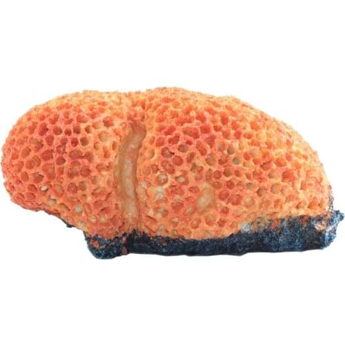 Aquarium Decoration Shell Resin Fish Tank Ornament Decoration Landscap Decorative 16x10x8cm