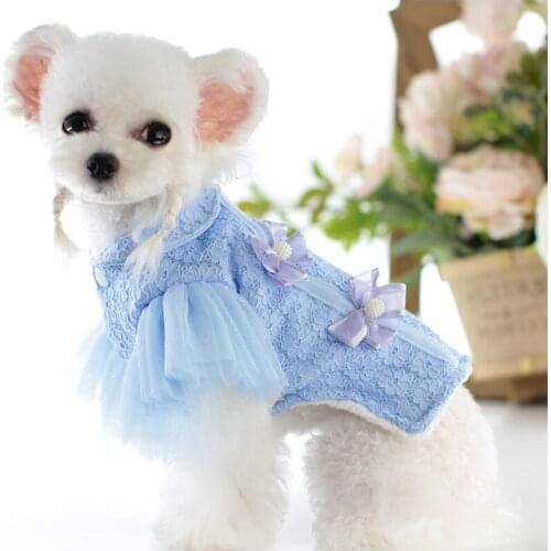 Cute Lace Sleeve Dog Coat Jakcet Warm Winter Dog Clothes Cat Puppy Pomeranian Yorkshire Clothing Bichon Poodle Schnauzer Costume