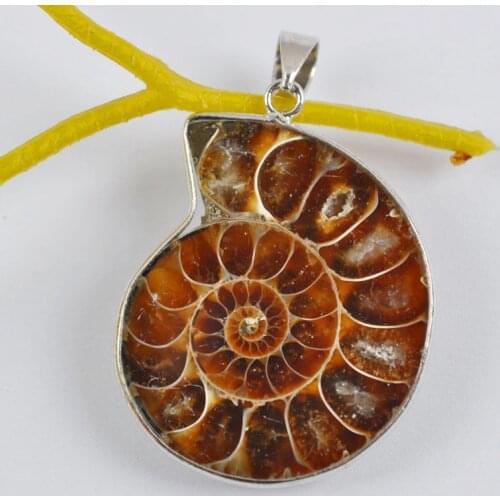 Natural Ammonite Fossi l Inlay GEM Pendant Jewelry For Gift S560