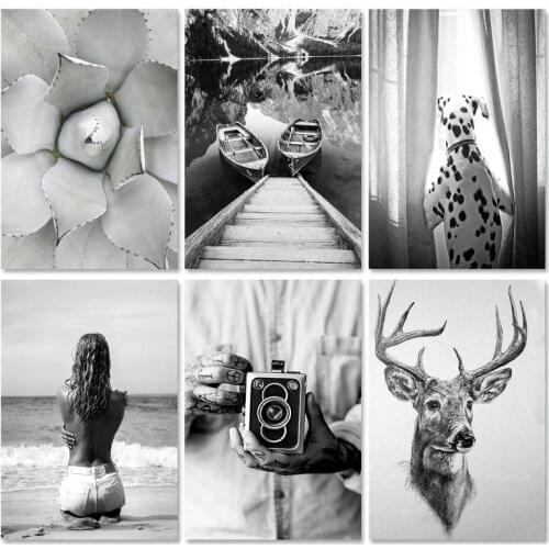 PhotoCustom 60x75cm Oil Painting By Numbers Black And White Scenery Paint By Numbers On Canvas Animals Watercolor By Numbers