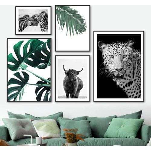 Zebra Leopard Highland Cattle Monstera Wall Art Canvas Painting Nordic Posters And Prints Wall Pictures For Living Room Decor