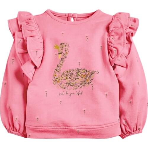 Baby Girl Clothes Toddler 2021 New Autumn Cotton Swan Print Rose Red Sweatshirt flower designer Sweater for Kids 2-7 Years