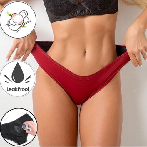 Menstrual Panties Leak Proof Period Panties Menstrual Underwear Women Bragas Menstruales Absorbentes Period Underwear Plus Size