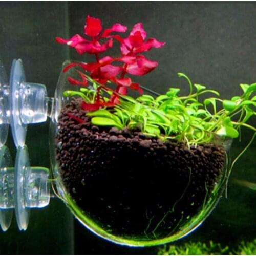 Aquarium Decoration Fish Tank Mini Glass Pot Polka Water Potted Planting Cylinder Cup Aquarium Fish Tank Decoration