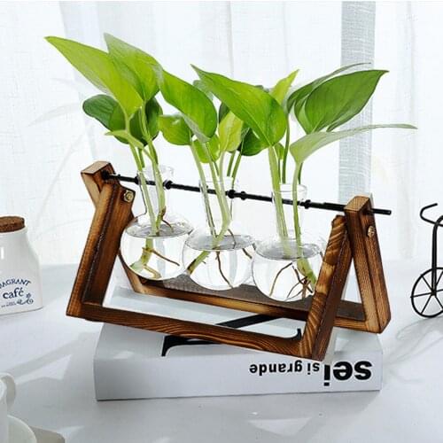 Terrarium Hydroponic Plant Vase Transparent Glass Bulb Vase Garden Water Planting Wooden Frame Glass Tabletop Home Decor