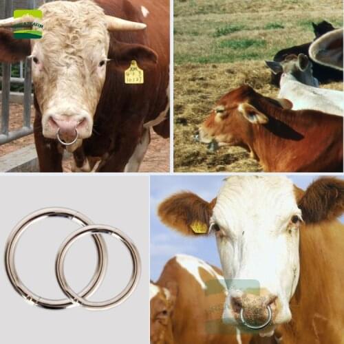 10 pcs Carbon steel livestock Cattle Bull Large Number of Ox Nose Ring Cattle Baoding Machine Cow Nose Clip Cow Nose Ring