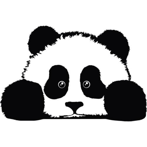 Wall Decal Vinyl Sticker Lovely Panda China National Treasure For Kids Boy Girl Rooms Decoration House Bedroom Design WW-283