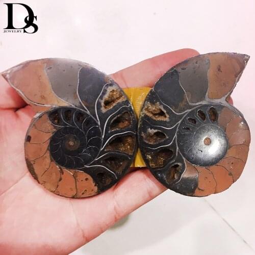 DS 1 Pair Natural Black Ammonite Fossil Slice Plate Quartz Crystal Stone Ocean Conch Madagascar Mineral Specimen Home Decoration