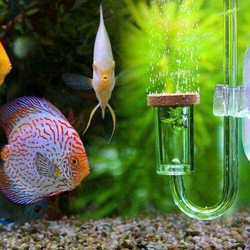 Acrylic Transparent CO2 Diffuser with Suction Cup Atomizer Bubble Counter for Aquarium Plants Water Grass Regulator