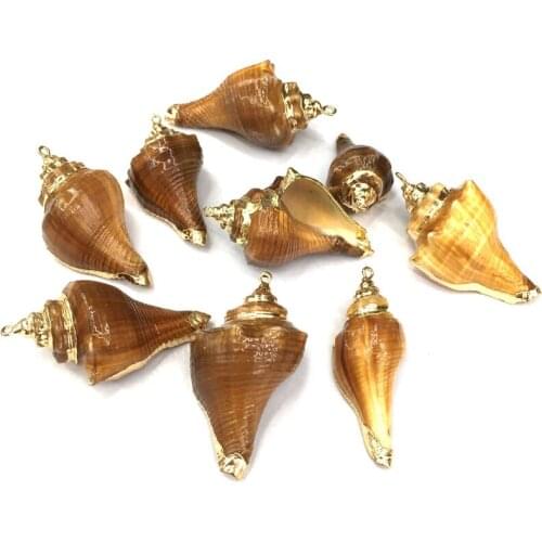 Natural shell Fashion conch Pendants Charms Necklace pendant for Jewelry Making DIY Bracelet Necklaces Accessories Size 25x50mm
